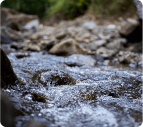 Gestión del agua cervecería nacional panamá