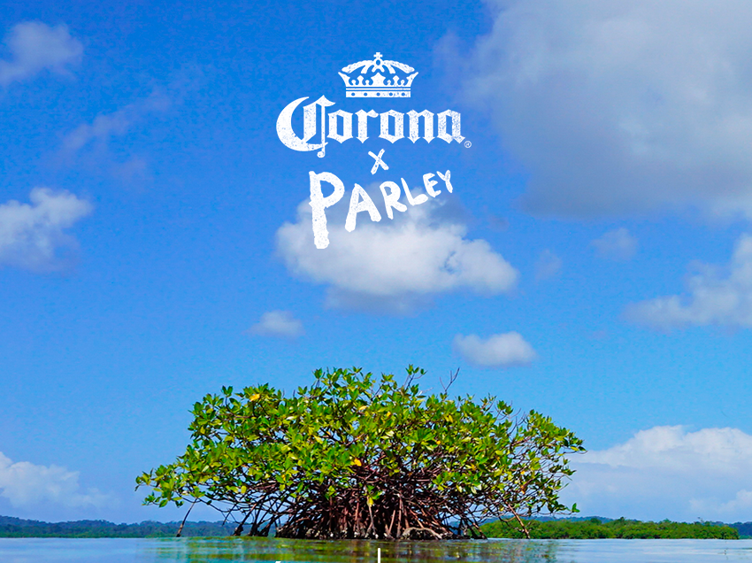 Corona y Parley se unen para proteger el paraíso panameño cervecería nacional panamá