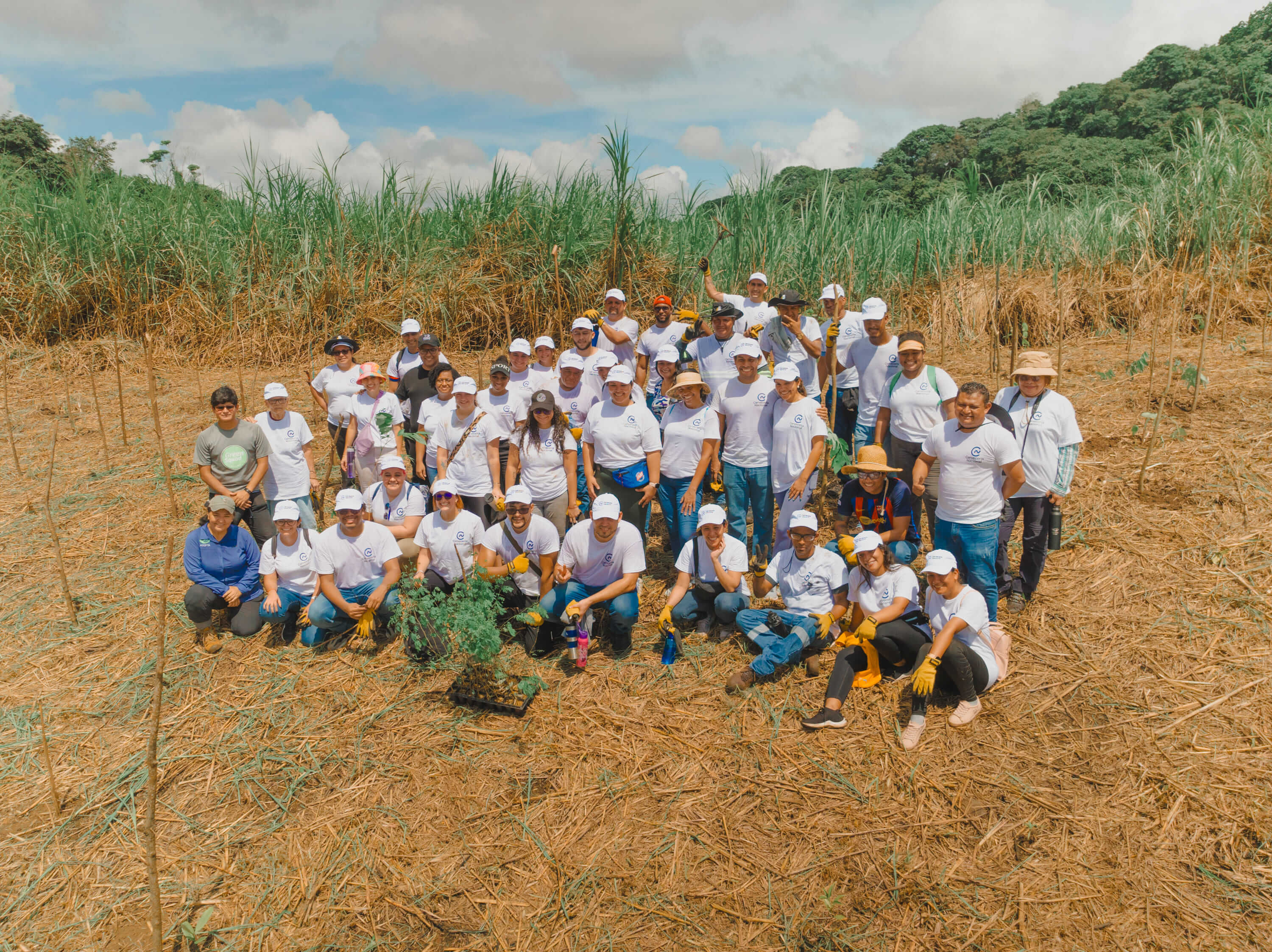Cervecería Nacional Organiza Jornada de Reforestación en el Parque Nacional Camino de Cruces cervecería nacional panamá