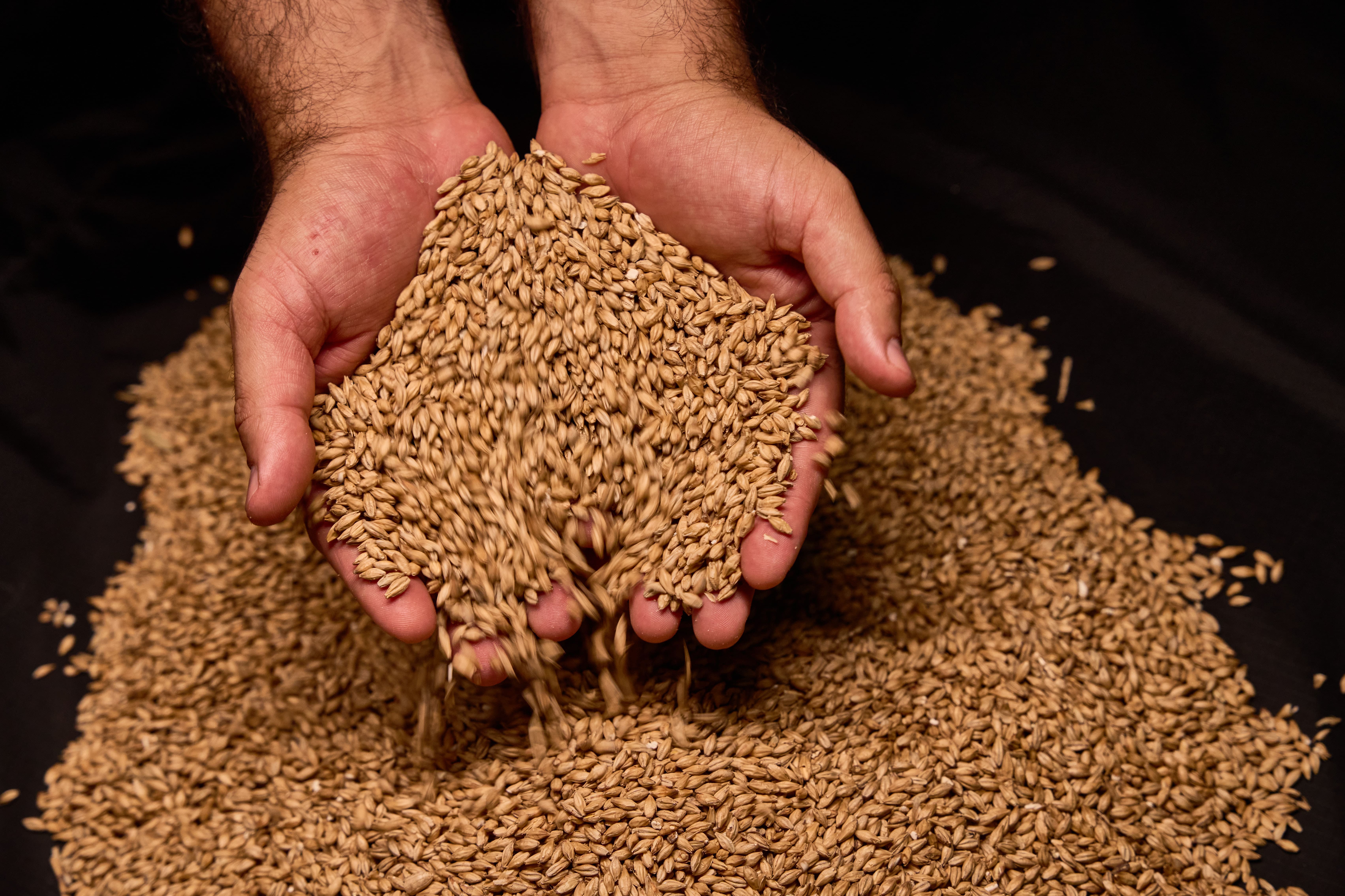 Agricultura inteligente Cervecería Nacional - Sostenibilidad Agricultura inteligente Cervecería Nacional - Sostenibilidad